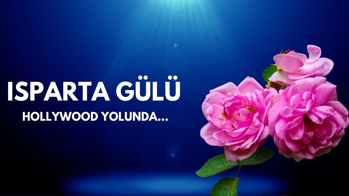 dark blue simple dark tech and gaming bio link website